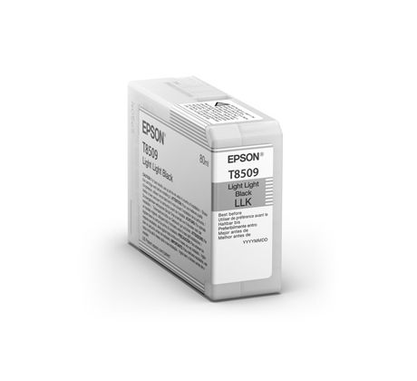 kazeta EPSON SC-P800 Light Light Black 80ml (C13T850900)