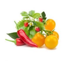 zmes ovocia a zeleniny, kapsule so semienkami a substrátom 9ks, Click and Grow (PPMFVX9)