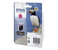 kazeta EPSON SC-P400 magenta (980 str.) (C13T324340)